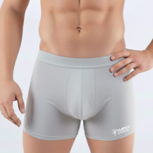 Boxer medio gris