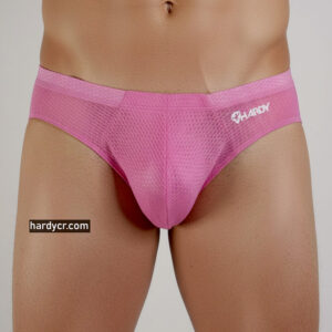 Brief rosette transparencia